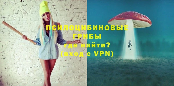 прущие грибы Алексин
