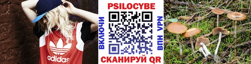 Псилоцибиновые грибы GOLDEN TEACHER  Приморск 